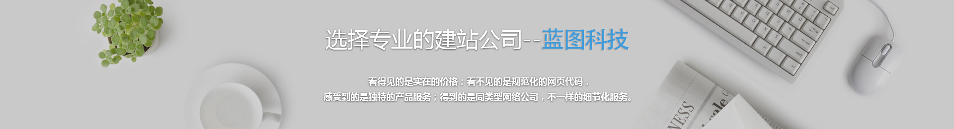 中山專業(yè)的網(wǎng)站建設(shè)公司藍(lán)圖科技